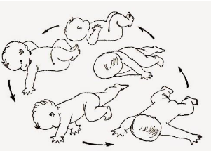 Enderezamiento primitivo