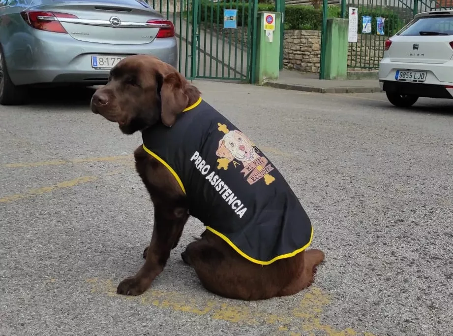 Coco Perro de Asistencia